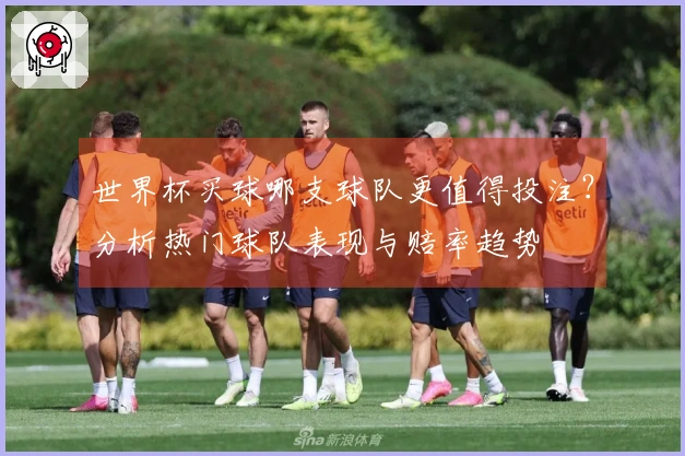 世界杯买球哪支球队更值得投注？分析热门球队表现与赔率趋势