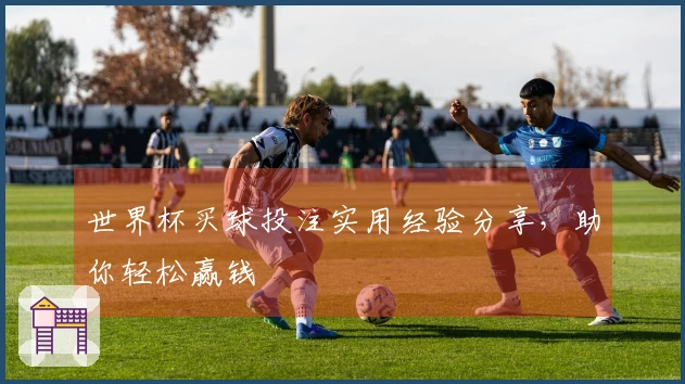 世界杯买球投注实用经验分享，助你轻松赢钱