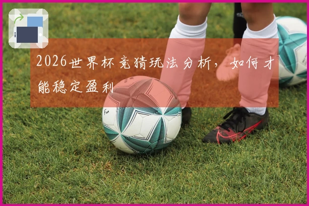 2026世界杯竞猜玩法分析，如何才能稳定盈利