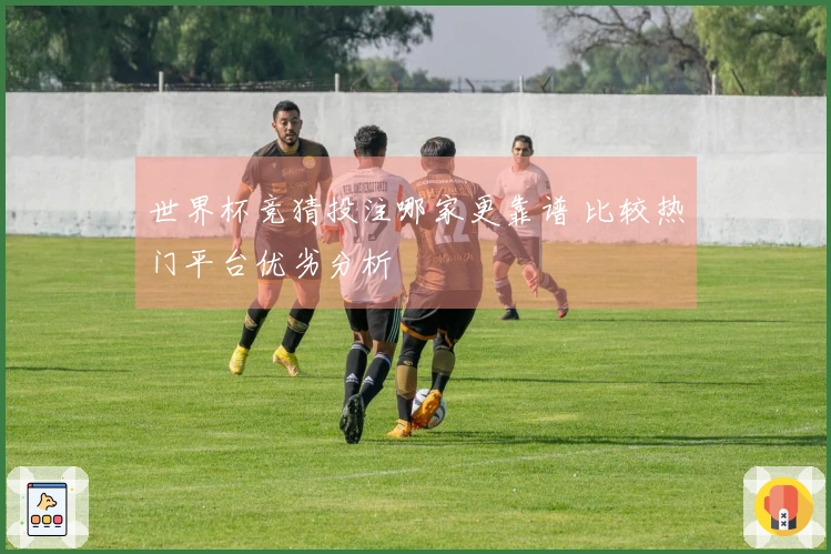 世界杯竞猜投注哪家更靠谱 比较热门平台优劣分析