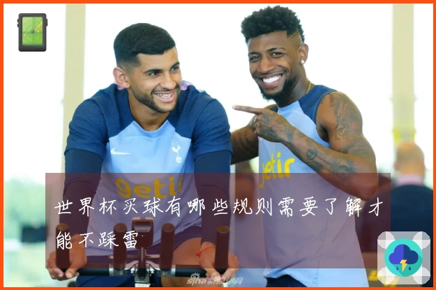 世界杯买球有哪些规则需要了解才能不踩雷